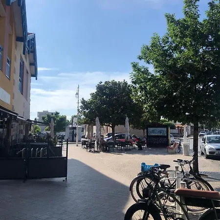 公寓 Sur Le Port Apercu Mer. *